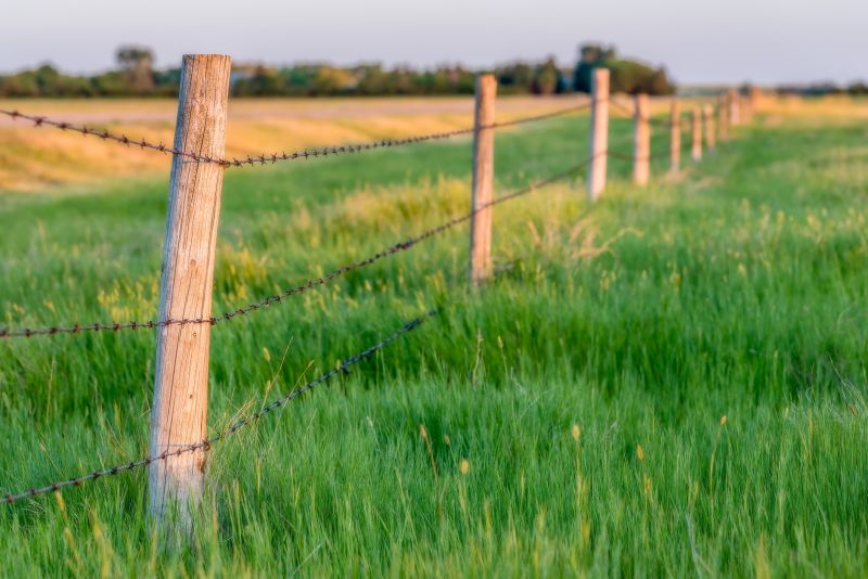 Fence Lighting Installation