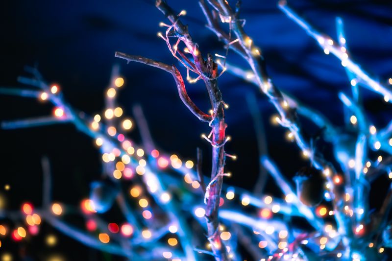 Holiday Lights Hanging in Alpharetta, GA