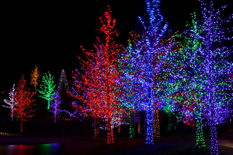 Seasonal Lights Installation in Olathe, KS