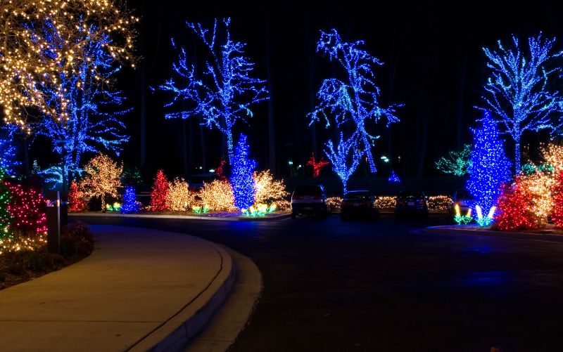 Yard Lights Installation in Littleton, CO